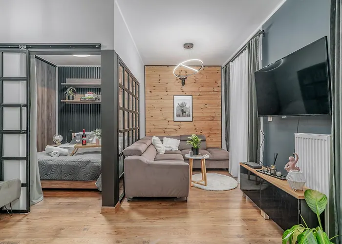 Grzegorzki - Air Con, Balcony, Vistula View - By Rentujemy Daire