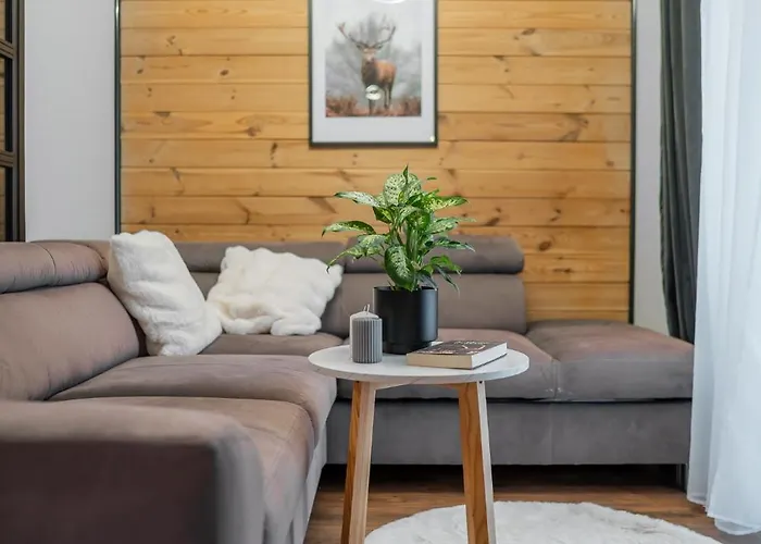 Apartman Grzegorzki - Air Con, Balcony, Vistula View - By Rentujemy *